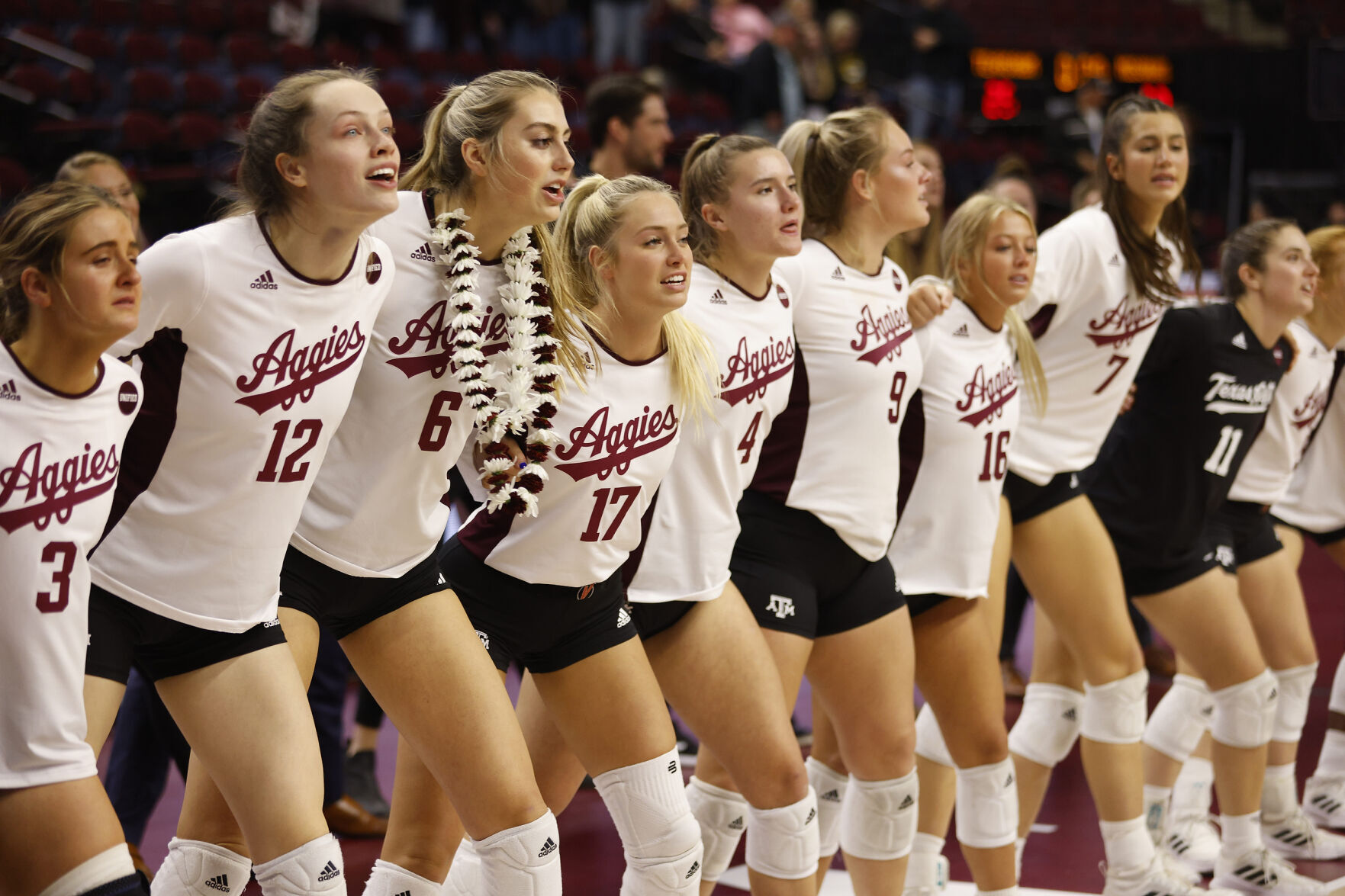 Aggie volleyball